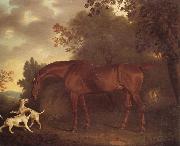 A Bay Hunter and Two Hounds in A Wooded Landscape